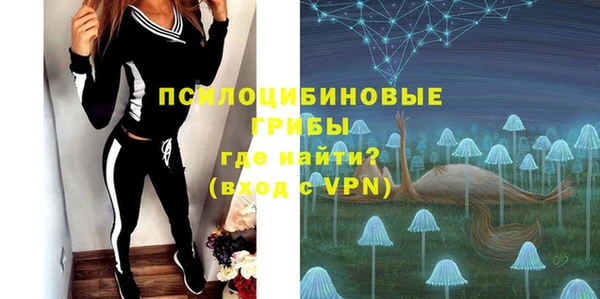 СК Кинешма