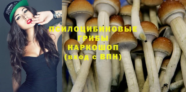 СК Кинешма